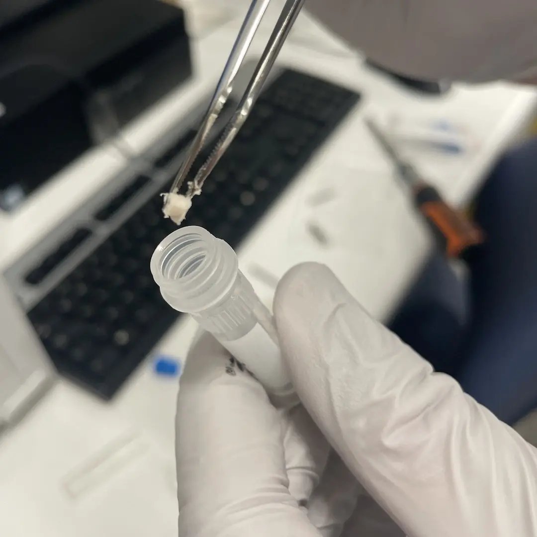 CIMORe_arts_20241119_sample-cutting