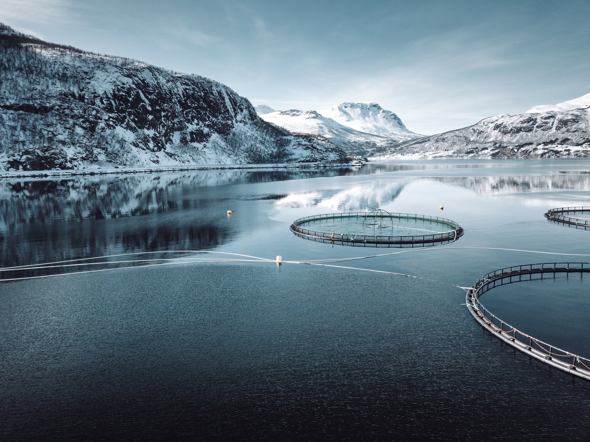 Havromwebinar - oppdrettsnæringen i Norge vinter 1-1