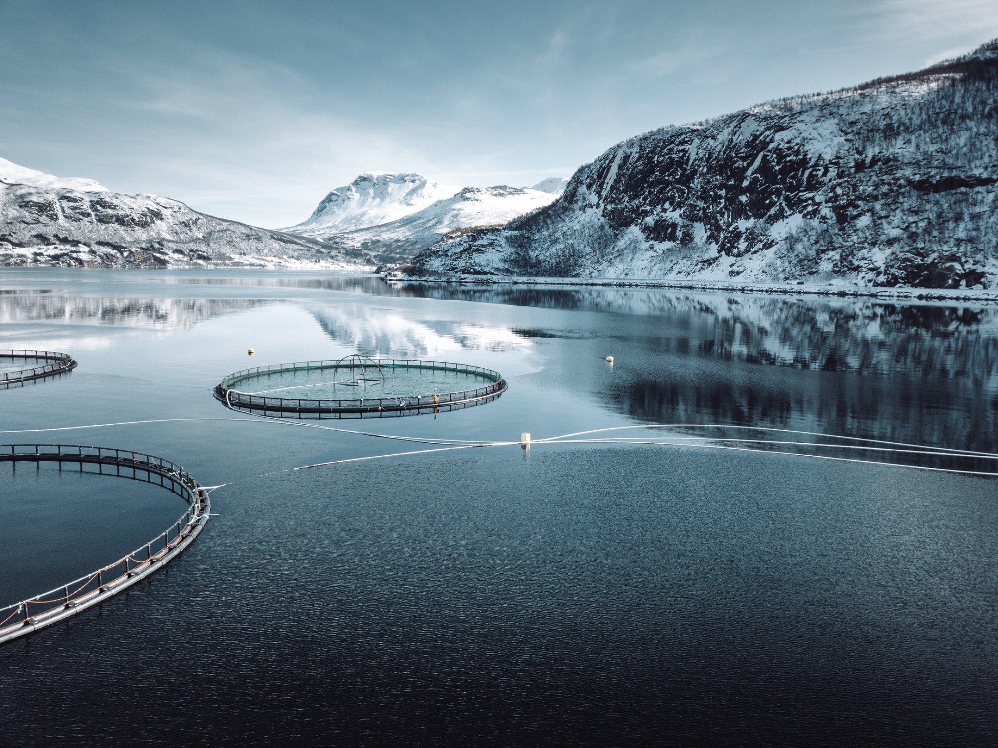 Havromwebinar - oppdrettsnæringen i Norge vinter-1