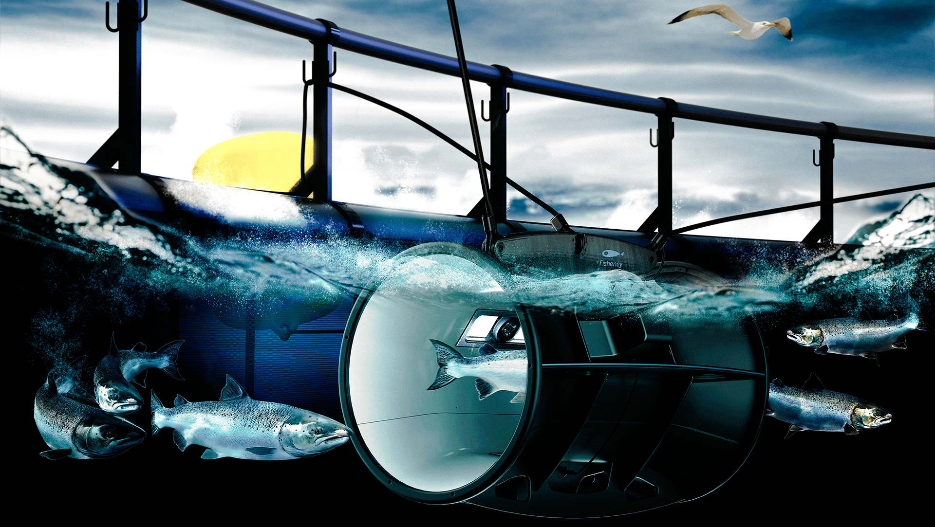 1-Fishency-Hero_crop1