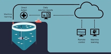 fishency 3