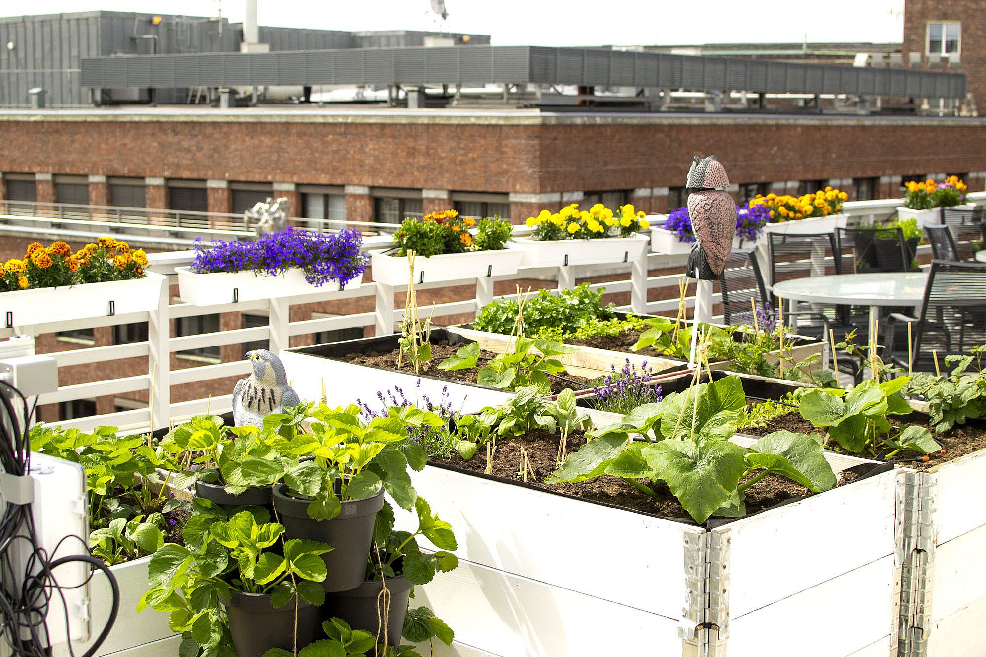 Urban farmlab planter